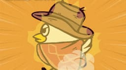 Splash image Splash image