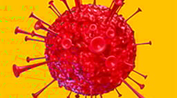 Splash image Splash image