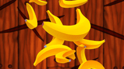 Splash image