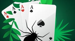 Splash image Splash image