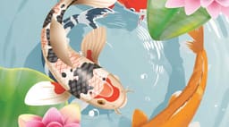 Splash image