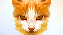 Splash image Splash image