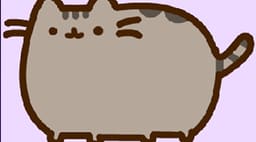 Splash image Splash image