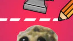 Splash image Splash image