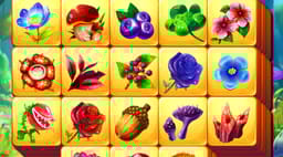 Splash image Splash image