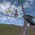 African Hunt