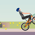 Wheelie Biker