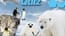Animal Quiz Animal Quiz