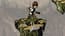 Ben 10 Savage pursuit Ben 10 Savage pursuit