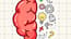 Brain Tricky Puzzles Brain Tricky Puzzles