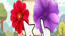 Connect Flowers The Ultimate Fusion