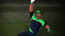 Cricket Fielder Challenge Game Cricket Fielder Challenge Game