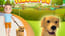 Dog Life Simulator Dog Life Simulator