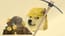 Dogeminer Dogeminer