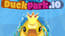 Duckpark IO