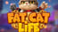 Fat Cat Life Fat Cat Life