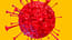 Fight Virus Fight Virus