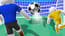 Football Kick 3d
