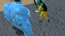 Hero 2 Super Kick Hero 2 Super Kick