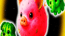 Merge memes Memopad Merge memes Memopad