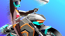 Moto Rush Moto Rush