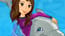 My Dolphin Show My Dolphin Show