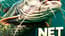 Net Fishing Net Fishing