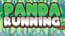 Panda Running Panda Running