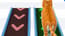 Pet Trainer Duel Pet Trainer Duel