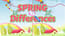 Spring Differences Spring Differences