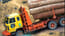 Truck Driver Cargo Truck Driver Cargo