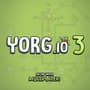 Yorg IO 3
