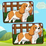 Thumbnail of Dogs Spot The Differences