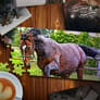 Thumbnail of Jigsaw Puzzle Horses Edition