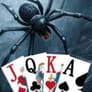 Spider and Spiderette solitaire