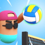 Thumbnail of Volley Boys