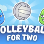 Thumbnail of Volleyball for Two